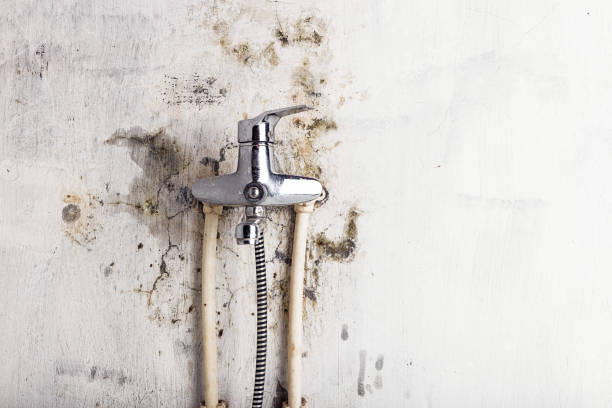 Best Localized Mold Remediation (e.g., coastal areas, humid climates) in Riverbank, CA