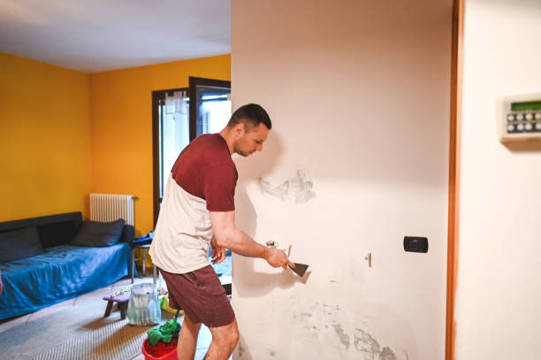 Best Commercial Mold Remediation in Riverbank, CA